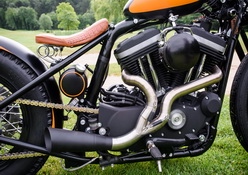 Little Bobby / HD Sportster 883