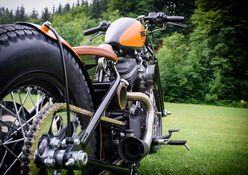 Little Bobby / HD Sportster 883