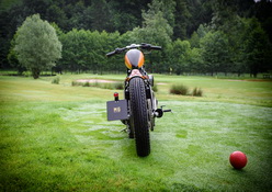 Little Bobby / HD Sportster 883